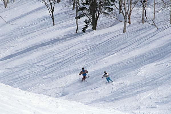 石家庄滑雪场哪个好玩