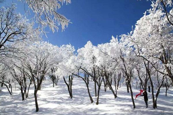 栾川冬季旅游哪儿好玩 适合冬天玩的栾川景点