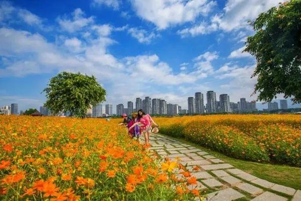 福州适合散步的地方有哪写