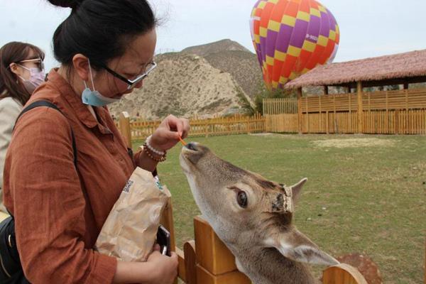 武漢森林野生動物園怎么去 門票怎么預(yù)約