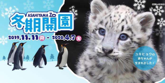 2021-2022旭川动物园冬季开园时间一览