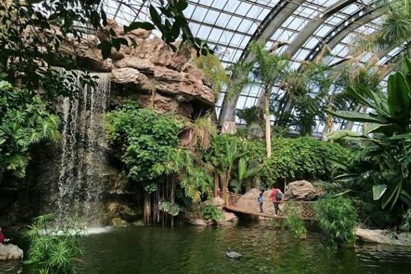 2021天津热带植物观光园门票多少钱