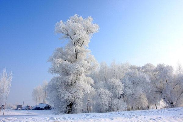 中国看雪最美的地方推荐 国内看雪的旅游胜地