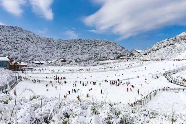 2021重庆金佛山几月份下雪 冬季旅游攻略
