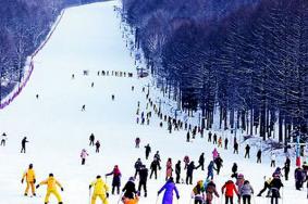 2021年盘山滑雪场门票多少钱 滑雪场用具租赁价格