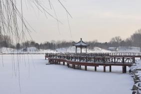 冬季圆明园旅游攻略