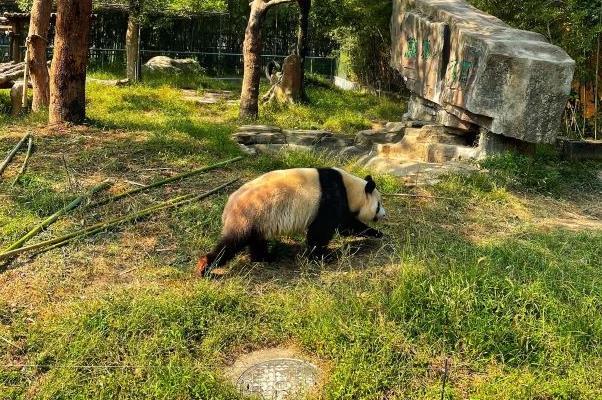 2021宁波受疫情影响宁波野生动物园暂停对外开放12月