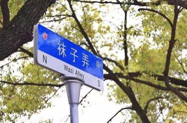 上海松江3路沿线景点推荐 一路串起郊游许多景点