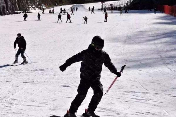 神龙架天燕滑雪场怎么样 和神龙架国际滑雪场比哪个好