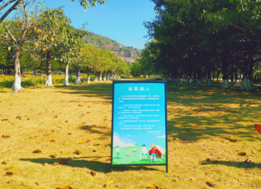 深圳哪些公园可以搭帐篷2021