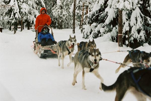 冬季去芬兰旅游的优势 这些冬天必打卡的景点值得看看