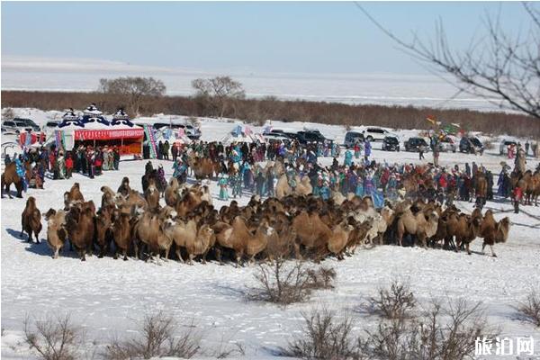 内蒙古冬季旅游线路推荐 这份十大经典路线攻略值得收藏