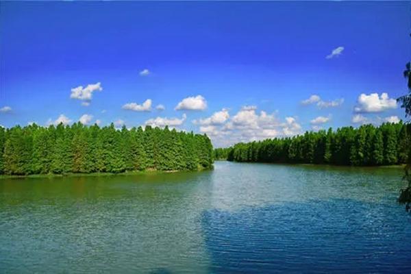 上海海湾国家森林公园美景路线推荐