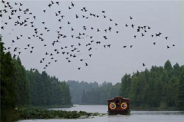 上海海灣國家森林公園美景路線推薦