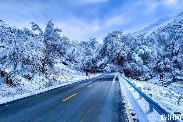 新疆冬季旅游费用和攻略 这份9日游路线可以看看