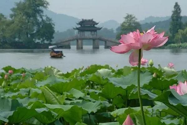 12月16日杭州西湖等部分景点受疫情影响关闭