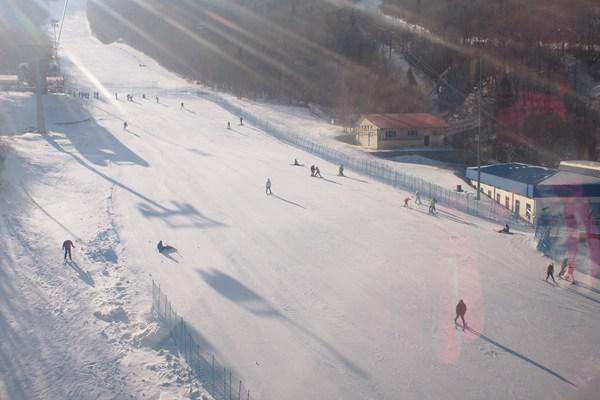 冬季哈爾濱最適合滑雪游玩的地方推薦 國內知名的滑雪場就在附近