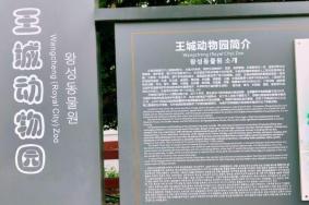 2022洛阳王城动物园年票多少钱一张 怎样办理