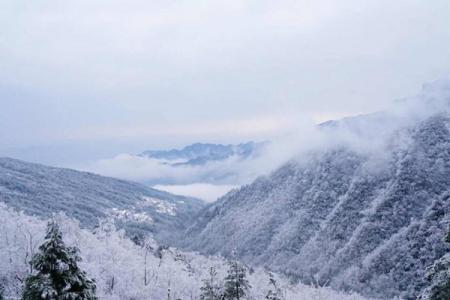 重庆金佛山看雪最佳时间