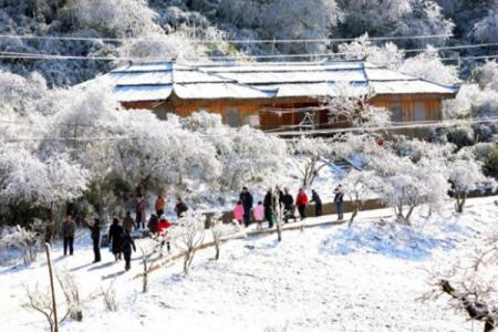 重庆金佛山看雪最佳时间