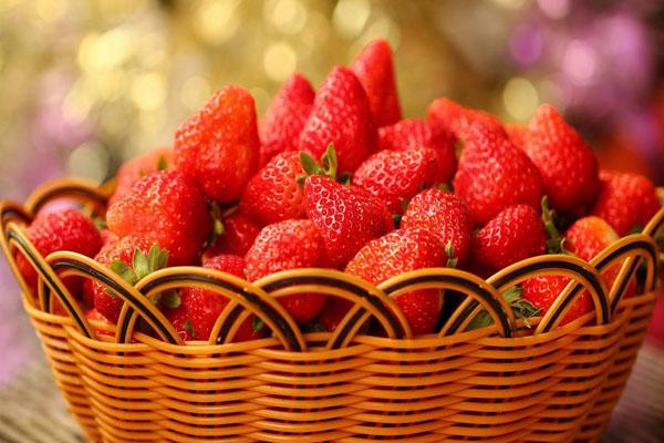 2022武汉哪里有采摘草莓的地方 武汉有草莓园吗