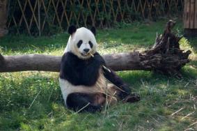 2022天津动物园开放时间及门票价格 附游玩攻略