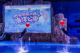 2022西安華夏文旅海洋公園游玩攻略 - 門票價格 - 開園時間 - 表演時間