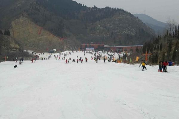 山东省最大的滑雪场在哪里