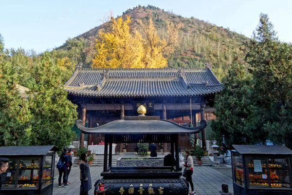 2021西安受疫情影响古观音禅寺暂停对外开放