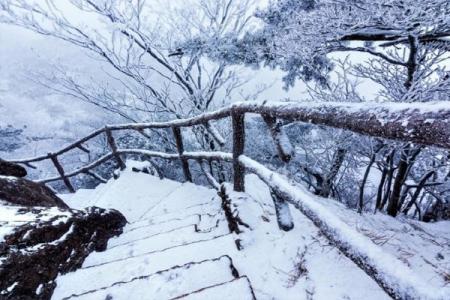 黄山风景区下雪了吗2021 黄山风景区冬天封山吗