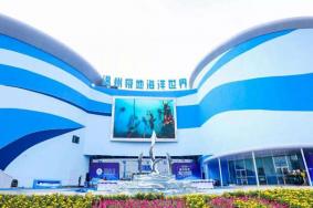2021温州极地海洋世界最新恢复开放通知