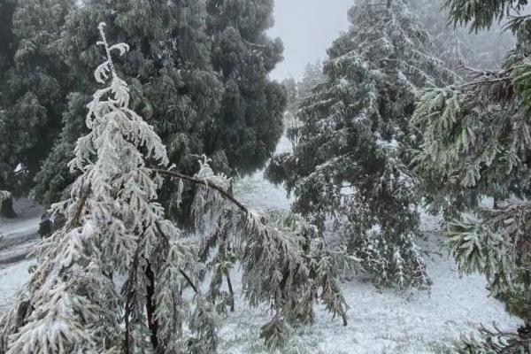 重慶有雪的景區 玩雪的地方有哪些