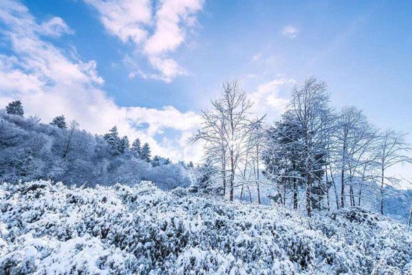 二郎山喇叭河景區開放沒有 附開放時間