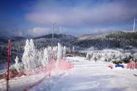 2022重庆冷水国际滑雪场在哪里及开放时间