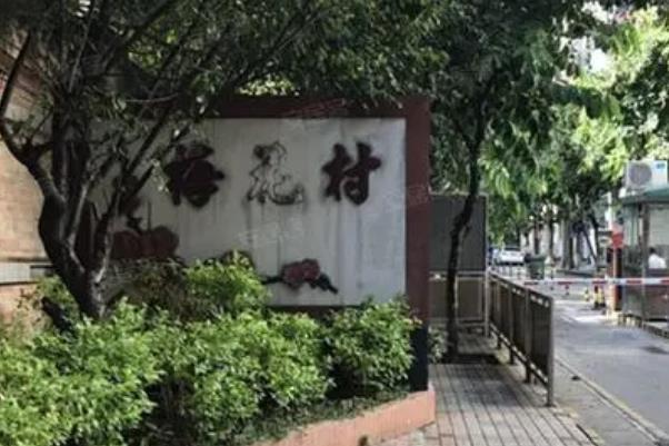 广州市哪里有梅花观赏 赏梅好去处