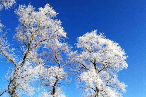 吉林省冰雪消費券在哪免費領?這份免費搶票攻略請收好了