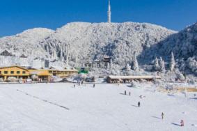 重庆南川冬天去哪里比较好玩 冬季旅游好去处