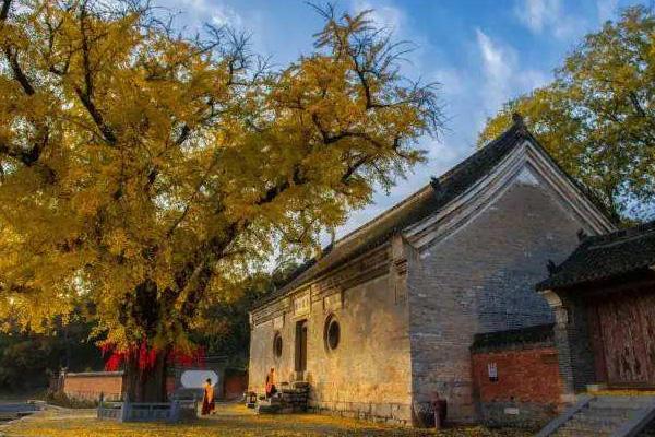 受疫情影响北阳喷鼻宽寺景区1月5日起停息对中开放告诉布告