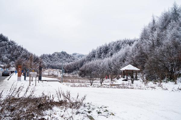 重慶毛草壩滑雪場在哪里 重慶茅草壩滑雪場怎么去