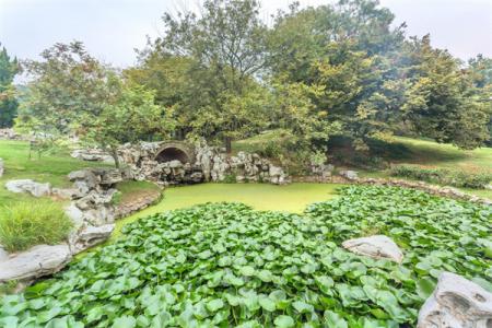 2022青岛百花苑简介 - 地址 - 门票 - 景区介绍