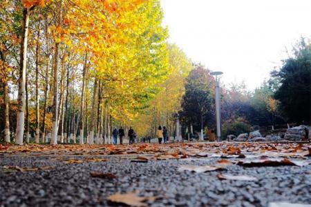2022青岛太平角公园介绍 - 门票 - 地址 - 景区介绍