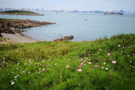 2022薛家岛旅游景区地址 - 交通 - 游玩攻略
