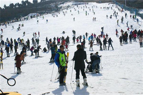 2022临沂茶山滑雪场门票 - 电话 - 营业时间 - 地址 -
游玩攻略