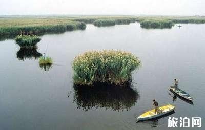 2022年鹤泉湖国家湿地公园旅游攻略 - 自助游路线