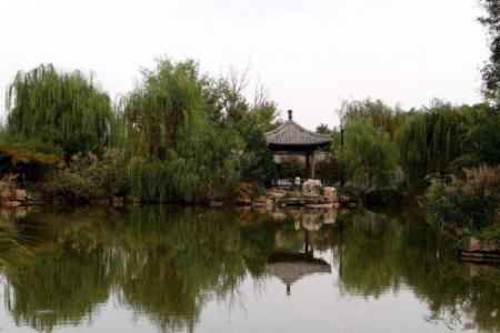 2022潍坊偶园地址 - 门票 - 交通 - 天气 - 游玩攻略