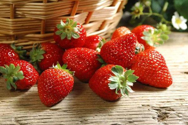 2022福州哪里有地方摘草莓 福州草莓园在哪里