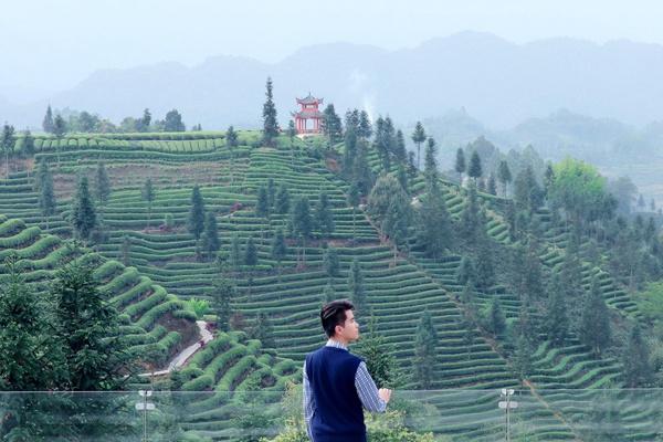 雅安蒙顶山新年虎福免门票活动详解