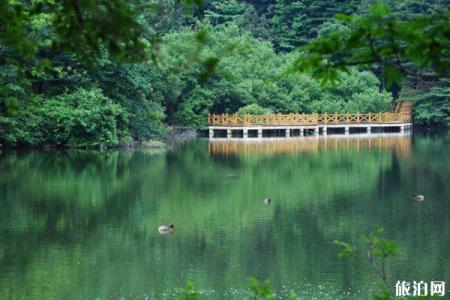 2022大洪山白龙池传说游玩攻略 - 景点介绍 - 门票 - 地址 - 交通