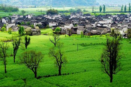 2022安徽卢村旅游攻略 - 景点介绍 - 门票