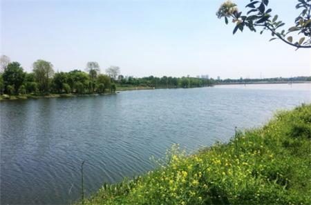 2022五里湖湿地公园门票 - 地点 - 交通 - 景区介绍
